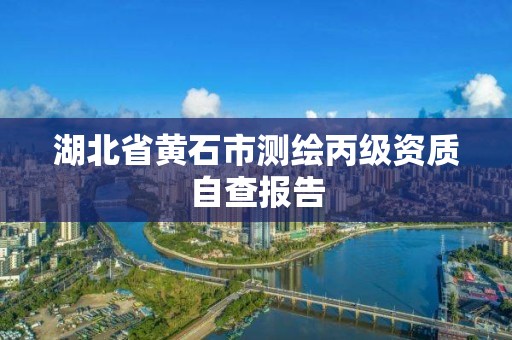 湖北省黃石市測繪丙級資質自查報告