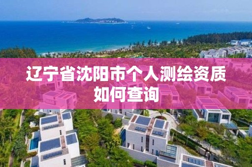 遼寧省沈陽市個人測繪資質如何查詢