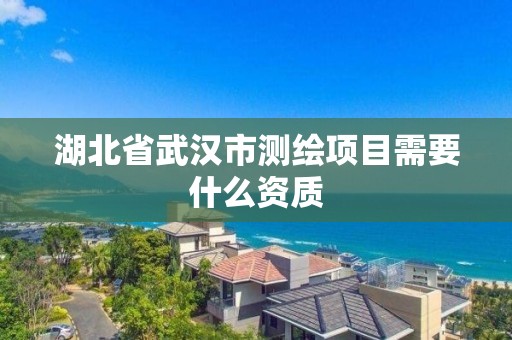 湖北省武漢市測繪項目需要什么資質