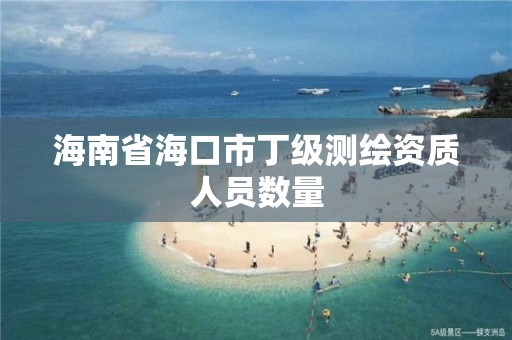 海南省海口市丁級測繪資質人員數量