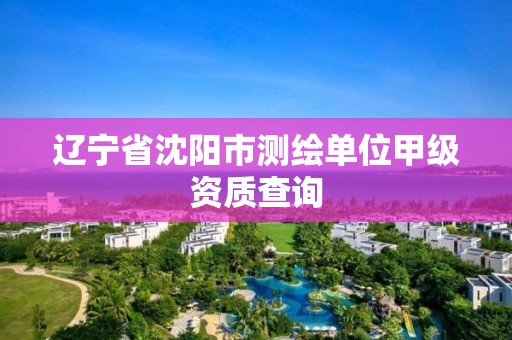 遼寧省沈陽市測繪單位甲級資質查詢