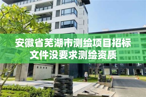 安徽省蕪湖市測繪項目招標文件沒要求測繪資質