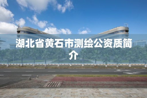 湖北省黃石市測繪公資質簡介