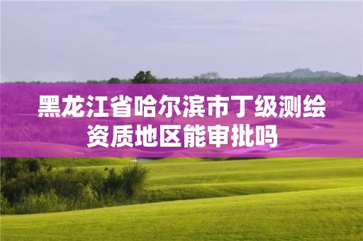 黑龍江省哈爾濱市丁級測繪資質地區能審批嗎