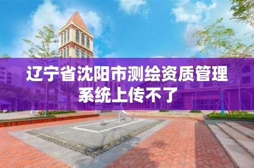 遼寧省沈陽市測繪資質管理系統上傳不了