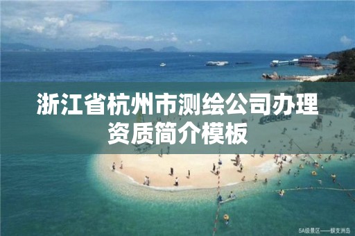 浙江省杭州市測繪公司辦理資質簡介模板