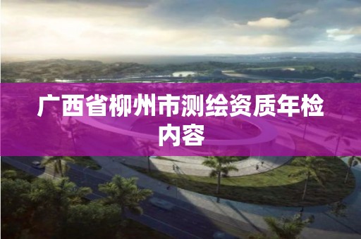 廣西省柳州市測繪資質年檢內容