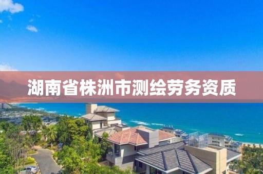 湖南省株洲市測繪勞務資質