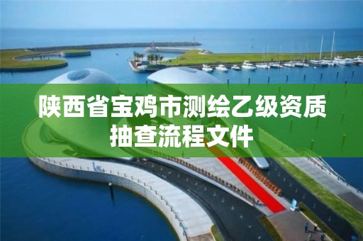 陜西省寶雞市測繪乙級資質抽查流程文件