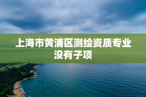 上海市黃浦區(qū)測繪資質專業(yè)沒有子項