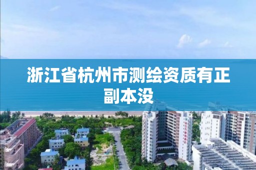 浙江省杭州市測繪資質有正副本沒