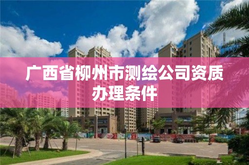 廣西省柳州市測繪公司資質辦理條件