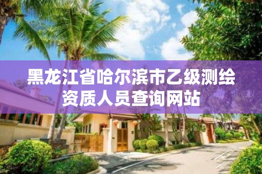 黑龍江省哈爾濱市乙級測繪資質人員查詢網站