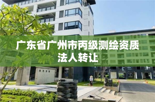 廣東省廣州市丙級測繪資質法人轉讓