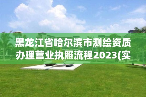 黑龍江省哈爾濱市測繪資質辦理營業執照流程2023(實時/更新中)