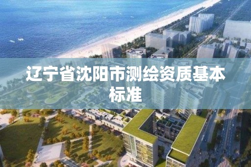 遼寧省沈陽市測繪資質基本標準