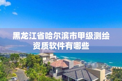 黑龍江省哈爾濱市甲級(jí)測(cè)繪資質(zhì)軟件有哪些