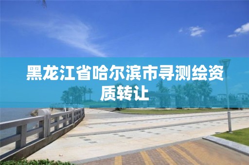 黑龍江省哈爾濱市尋測繪資質轉讓