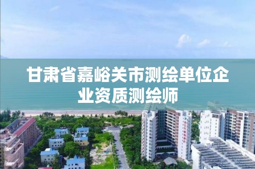 甘肅省嘉峪關市測繪單位企業資質測繪師