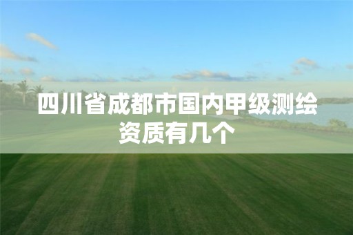 四川省成都市國(guó)內(nèi)甲級(jí)測(cè)繪資質(zhì)有幾個(gè)