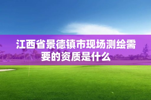 江西省景德鎮市現場測繪需要的資質是什么