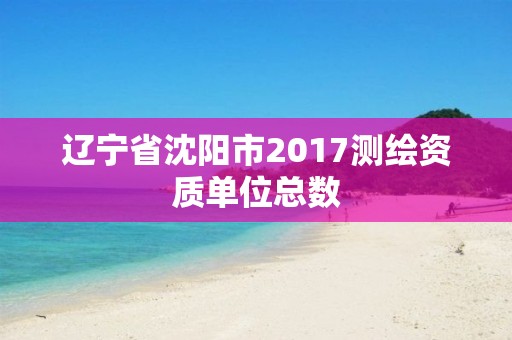 遼寧省沈陽市2017測繪資質單位總數