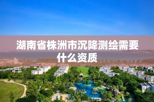 湖南省株洲市沉降測繪需要什么資質