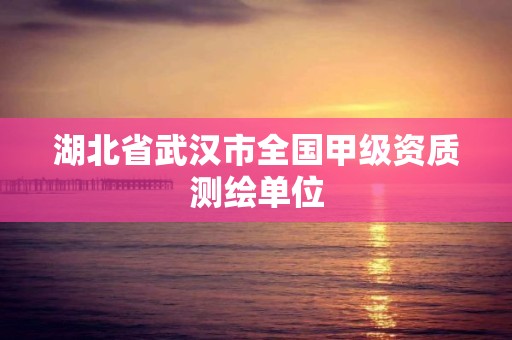 湖北省武漢市全國甲級資質測繪單位