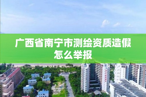 廣西省南寧市測繪資質造假怎么舉報