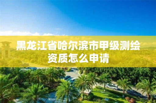 黑龍江省哈爾濱市甲級測繪資質怎么申請