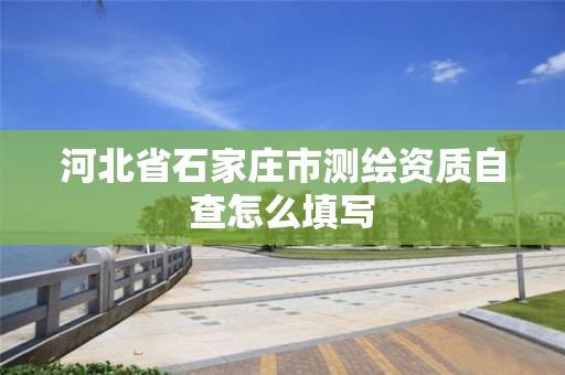 河北省石家莊市測(cè)繪資質(zhì)自查怎么填寫(xiě)