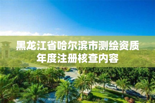 黑龍江省哈爾濱市測繪資質年度注冊核查內容