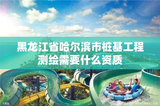 黑龍江省哈爾濱市樁基工程測繪需要什么資質