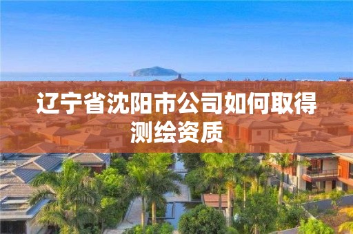 遼寧省沈陽市公司如何取得測繪資質