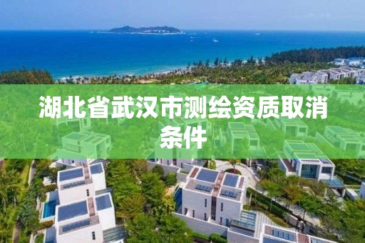 湖北省武漢市測繪資質(zhì)取消條件