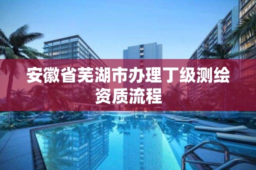 安徽省蕪湖市辦理丁級測繪資質流程