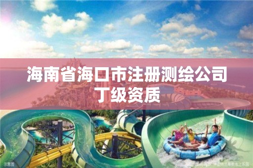 海南省?？谑凶詼y繪公司丁級資質(zhì)