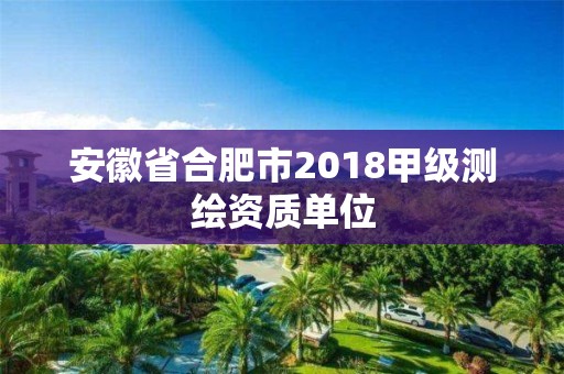 安徽省合肥市2018甲級(jí)測(cè)繪資質(zhì)單位