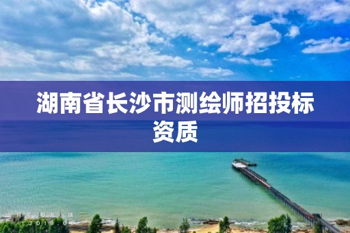 湖南省長沙市測繪師招投標資質