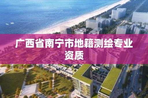 廣西省南寧市地籍測繪專業資質