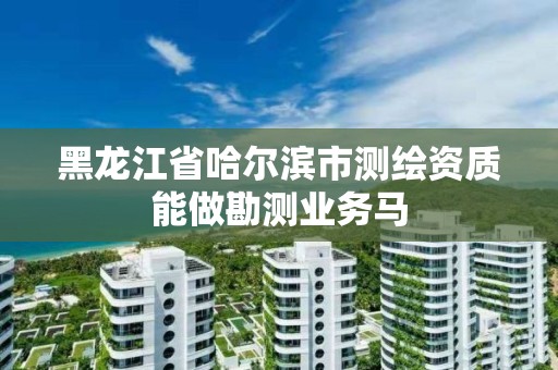 黑龍江省哈爾濱市測(cè)繪資質(zhì)能做勘測(cè)業(yè)務(wù)馬