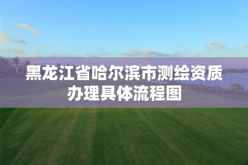 黑龍江省哈爾濱市測繪資質(zhì)辦理具體流程圖