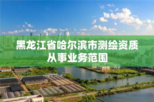 黑龍江省哈爾濱市測繪資質從事業務范圍