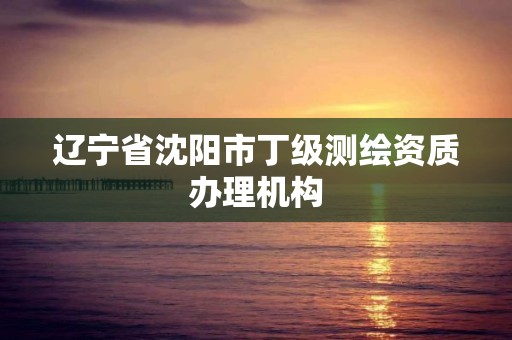 遼寧省沈陽市丁級測繪資質辦理機構