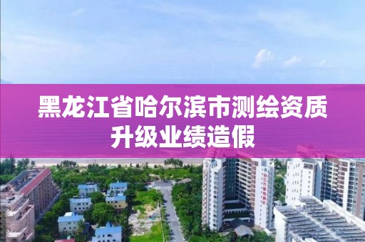 黑龍江省哈爾濱市測繪資質升級業績造假