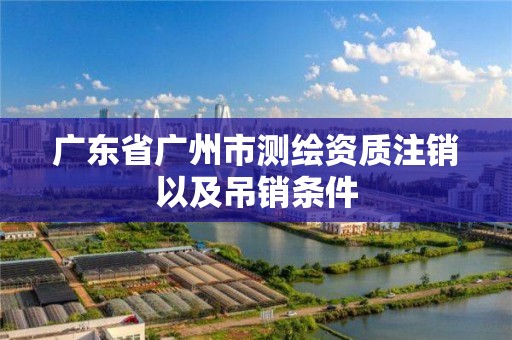 廣東省廣州市測繪資質注銷以及吊銷條件