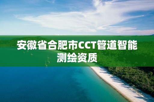 安徽省合肥市CCT管道智能測繪資質