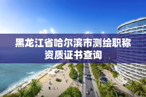 黑龍江省哈爾濱市測繪職稱資質證書查詢