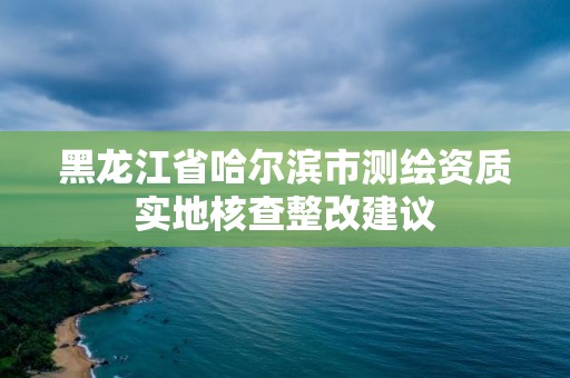 黑龍江省哈爾濱市測繪資質實地核查整改建議