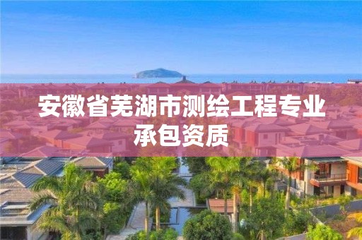 安徽省蕪湖市測繪工程專業(yè)承包資質(zhì)